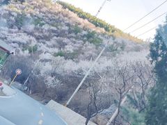 -妙峰山风景名胜区