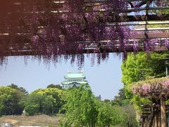 -名古屋城