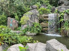 -广州神农草堂中医药博物馆