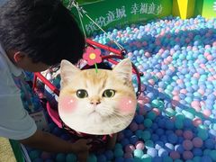 -中国福利会少年宫