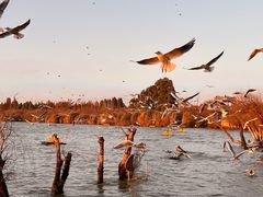 -捞渔河湿地公园