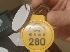 -世外桃源水疗会(皇庭彩园店)