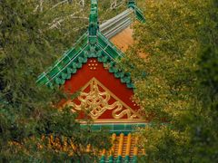 -颐和园