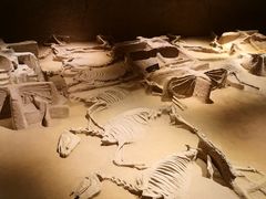 -洛阳周王城天子驾六博物馆