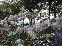 -海心沙亚运公园