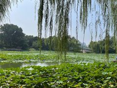 -皇家御河游(紫御湾码头)