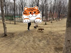 -草根堂农场