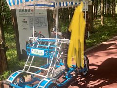 -黄海国家森林公园