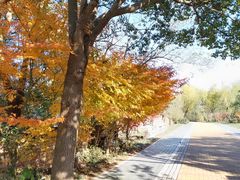 -同里国家湿地公园