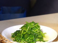 酒香豆苗-吉士·星座 JISHI CONSTELLATION(新天地店)