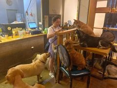 大堂-萌喵咖啡屋(人民东路4号口M16商铺店)