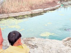 -滆湖低碳生态公园