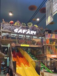 -卡通尼·Safari非洲探索乐园·生日会(金桥国际商业广场店)