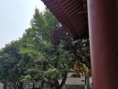 -西安青龙寺遗址景区