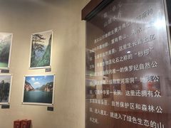 -遵义市博物馆