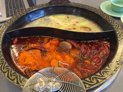 -小志家.野生菌鲜切牦牛肉牛杂火锅