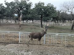 -西安秦岭野生动物园