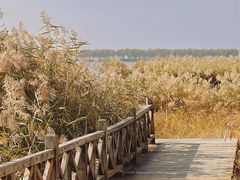 -野鸭湖国家湿地公园