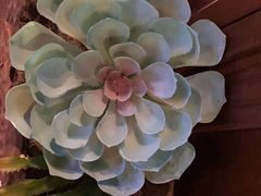 -老牌坊云南鱼豆花火锅(哈西万达店)