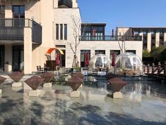 -上海崇明金茂凯悦酒店