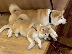 -YCHL Studios健身工作室(市二宫店)