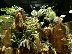 -宴桃园(门头沟店)