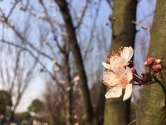 -艾溪湖湿地公园