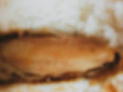 -麦当劳(番禺易发商业街店)