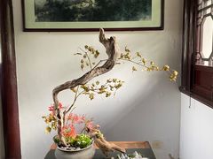 -枫桥夜泊