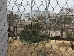 -太原动物园