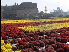 -中国天府农业博览园