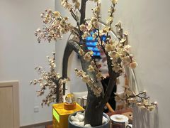 -不凡脑禅境·养生·舒压调理SPA(华发世纪城店)