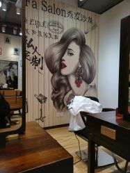 -Show fa salon 秀发沙龙