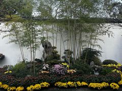 -上海醉白池公园