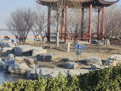 -天津东丽湖风景区