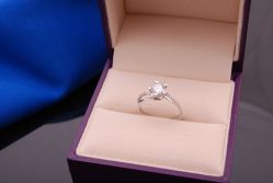 DSC_6125-威德钻石-克拉钻大本营(南京东路店)