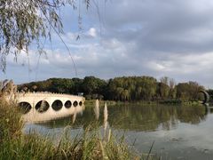 -昆山城市生态森林公园