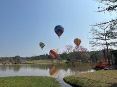 -中国科学院西双版纳热带植物园