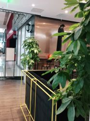 -崇尚GAVIN STYLE臻选