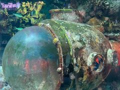 -上海海昌海洋公园