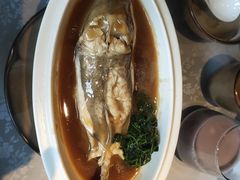 -沈灶河豚宴·河豚融合餐厅(汉中路店)