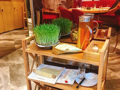 鲜豆苗-好彩猪肚鸡(正弘城店)