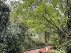 -西安汉城湖景区