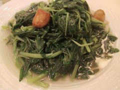 上汤苋菜-利苑酒家(合景国际金融广场店)