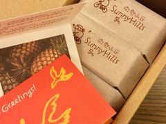 -微热山丘(桃园机场店)