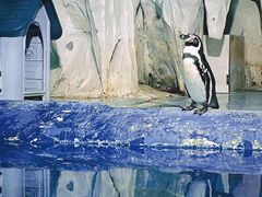 -太平洋海底世界