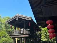 -大唐贡茶院