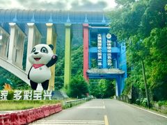 -金鼎雪山牦牛杂火锅(理县总店)