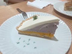 -猫里有甜