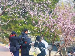 -安定门(地铁站)